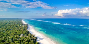 Ultimate Diani Beach Travel Guide for Hotels, Activities, and Tips
