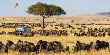 Ultimate Maasai Mara Travel Guide for Safari, Costs, and Best Time
