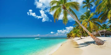 Ultimate Zanzibar Travel Guide for Beaches, Culture, and Nightlife