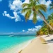 Ultimate Zanzibar Travel Guide for Beaches, Culture, and Nightlife
